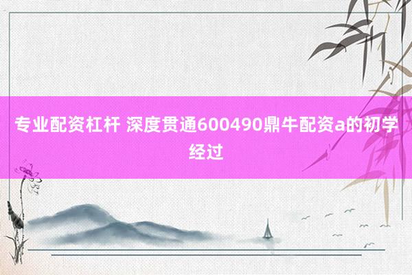 专业配资杠杆 深度贯通600490鼎牛配资a的初学经过