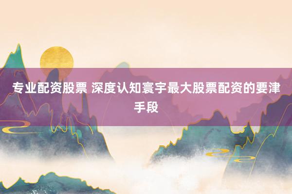 专业配资股票 深度认知寰宇最大股票配资的要津手段