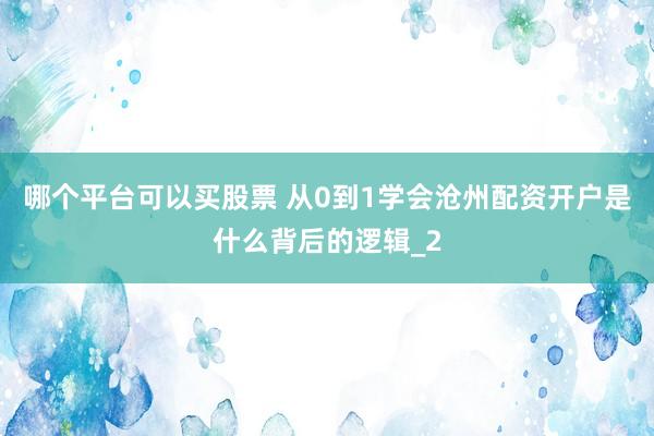 哪个平台可以买股票 从0到1学会沧州配资开户是什么背后的逻辑_2