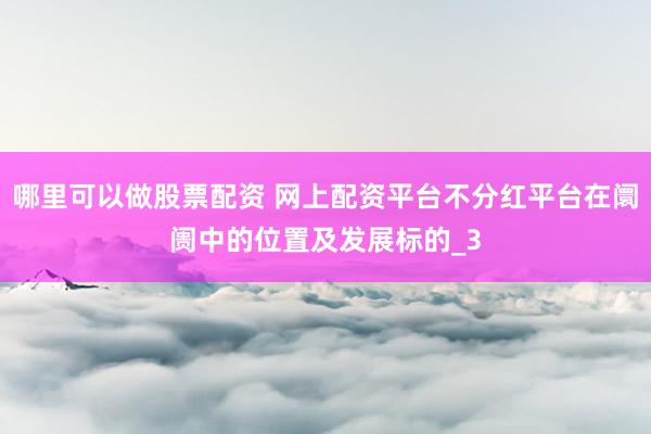 哪里可以做股票配资 网上配资平台不分红平台在阛阓中的位置及发展标的_3