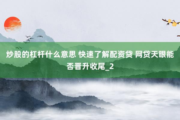 炒股的杠杆什么意思 快速了解配资贷 网贷天眼能否晋升收尾_2