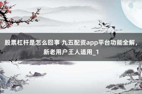 股票杠杆是怎么回事 九五配资app平台功能全解，新老用户王人适用_1