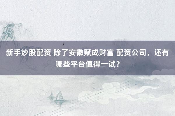 新手炒股配资 除了安徽赋成财富 配资公司，还有哪些平台值得一试？