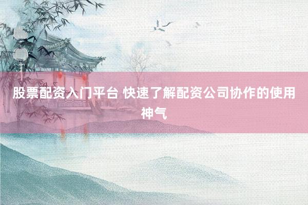 股票配资入门平台 快速了解配资公司协作的使用神气