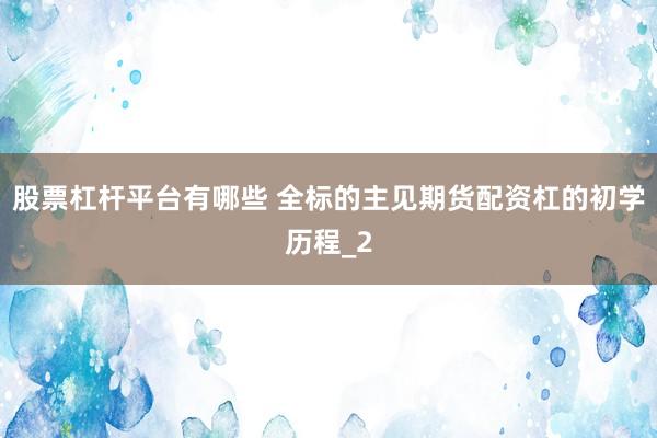 股票杠杆平台有哪些 全标的主见期货配资杠的初学历程_2