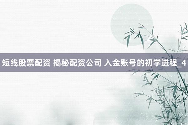 短线股票配资 揭秘配资公司 入金账号的初学进程_4