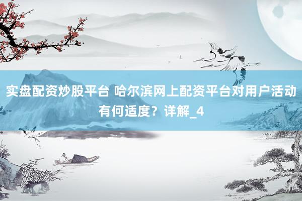 实盘配资炒股平台 哈尔滨网上配资平台对用户活动有何适度？详解_4