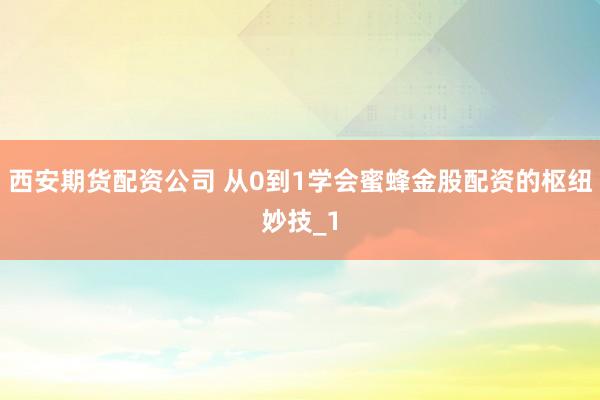 西安期货配资公司 从0到1学会蜜蜂金股配资的枢纽妙技_1