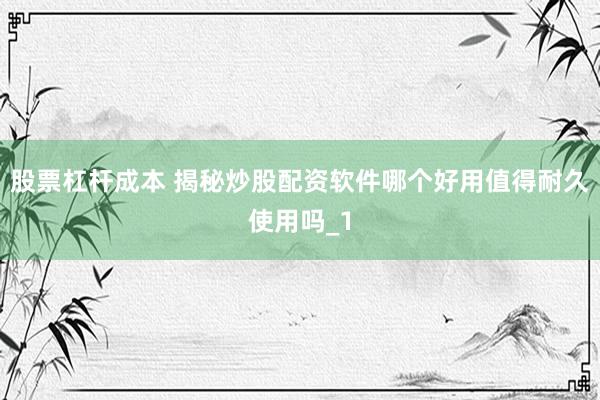 股票杠杆成本 揭秘炒股配资软件哪个好用值得耐久使用吗_1