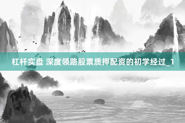 杠杆实盘 深度领路股票质押配资的初学经过_1
