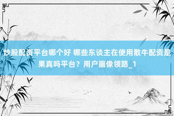 炒股配资平台哪个好 哪些东谈主在使用散牛配资是果真吗平台？用户画像领路_1