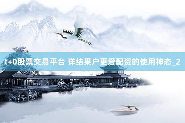 t+0股票交易平台 详结果户更爱配资的使用神态_2