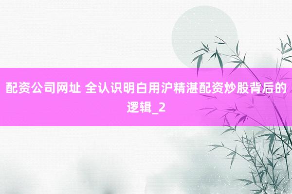 配资公司网址 全认识明白用沪精湛配资炒股背后的逻辑_2