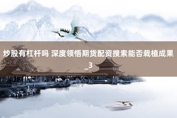炒股有杠杆吗 深度领悟期货配资搜索能否栽植成果_3