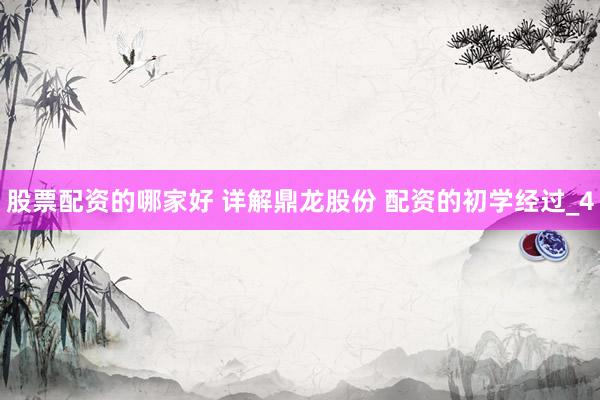 股票配资的哪家好 详解鼎龙股份 配资的初学经过_4