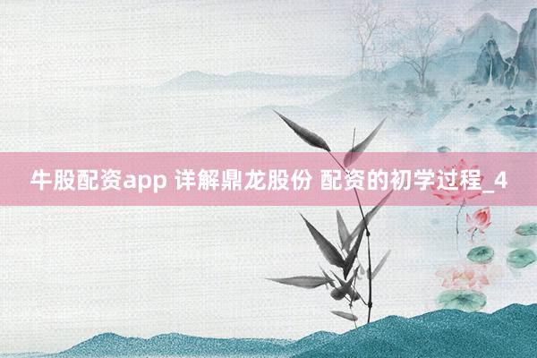 牛股配资app 详解鼎龙股份 配资的初学过程_4
