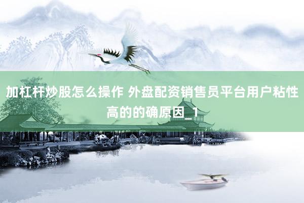 加杠杆炒股怎么操作 外盘配资销售员平台用户粘性高的的确原因_1