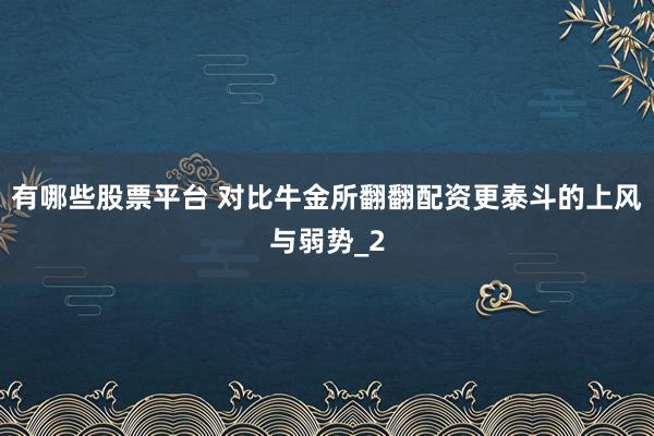 有哪些股票平台 对比牛金所翻翻配资更泰斗的上风与弱势_2