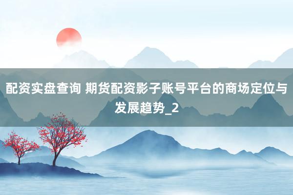 配资实盘查询 期货配资影子账号平台的商场定位与发展趋势_2