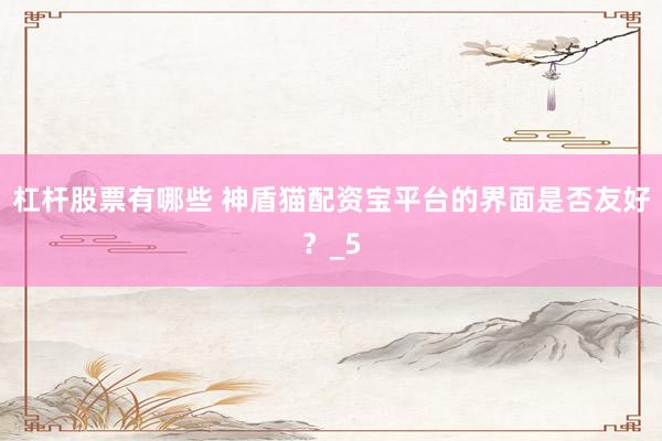杠杆股票有哪些 神盾猫配资宝平台的界面是否友好？_5