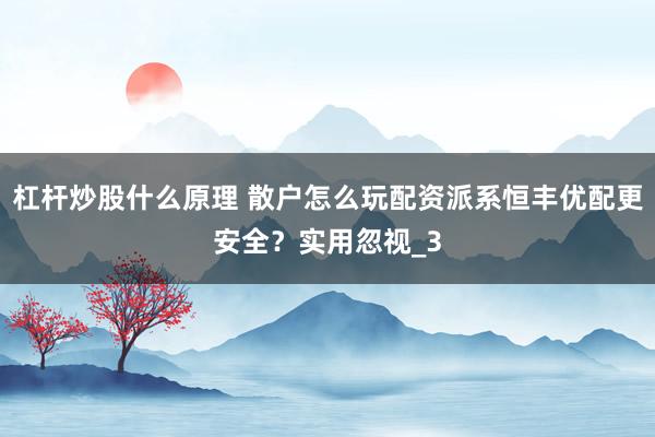 杠杆炒股什么原理 散户怎么玩配资派系恒丰优配更安全？实用忽视_3