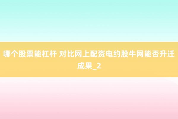 哪个股票能杠杆 对比网上配资电约股牛网能否升迁成果_2