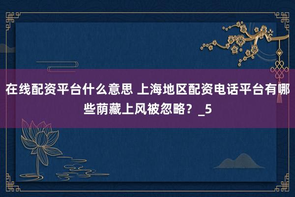 在线配资平台什么意思 上海地区配资电话平台有哪些荫藏上风被忽略？_5
