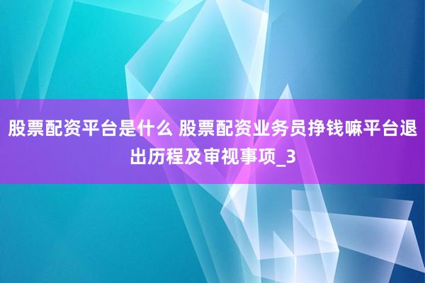 股票配资平台是什么 股票配资业务员挣钱嘛平台退出历程及审视事项_3